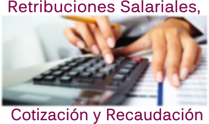 retribuciones salariales contizaciones y recaudación